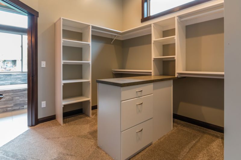 Custom Shelving Designs